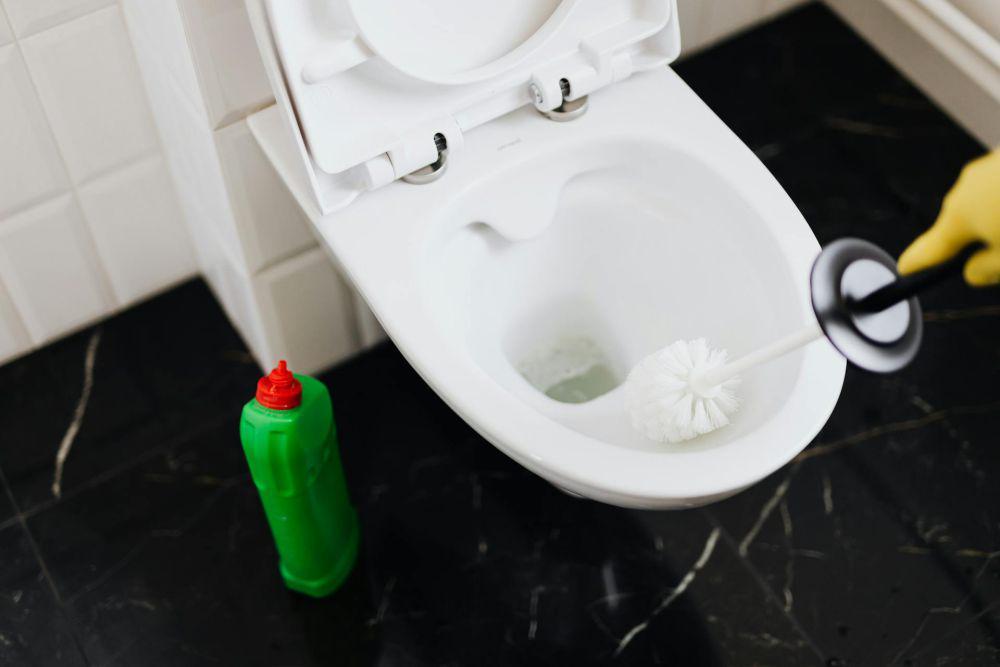 5 Metode Membersihkan Toilet Tanpa Bahan Kimia, yuk Coba!