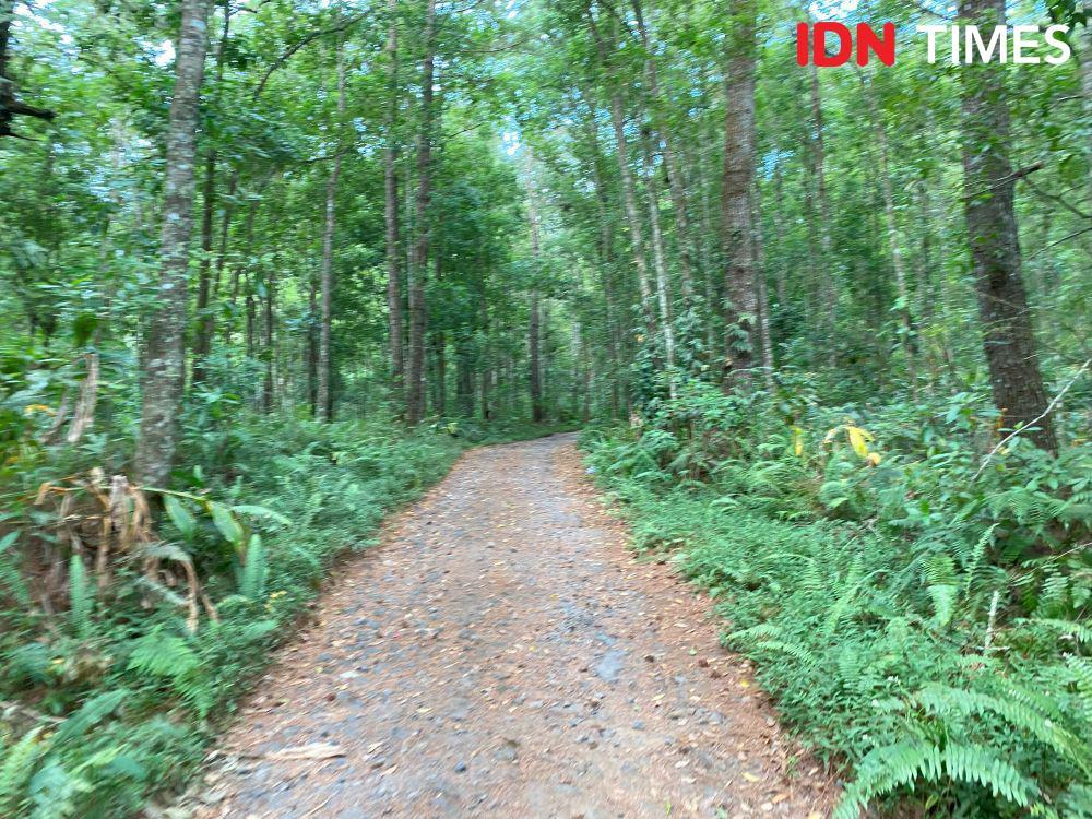Kemenag Kumpulkan Dana Rp410 Juta Program Hutan Wakaf