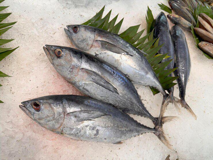 Ikan tongkol segar (freepik.com/antoksena789)