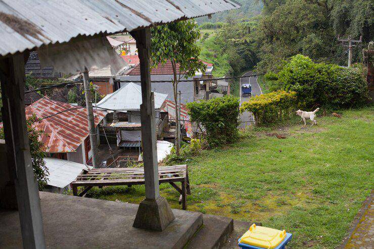 Ilustrasi kenangan kampung halaman (freepik.com/EyeEm)