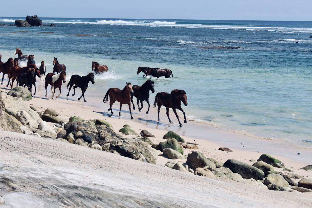 Sumba, Nusa Tenggara Timur (unsplash.com/Deepavali Gaind)