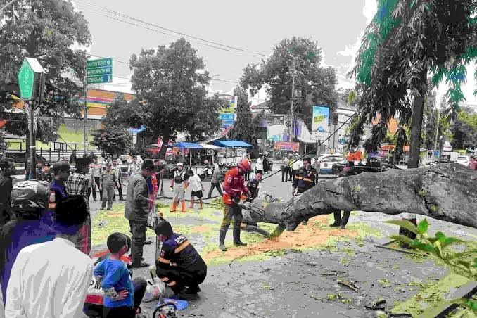 Kemensos Beri Santunan kepada 3 Jemaah Salat Id Tewas Tertimpa Pohon