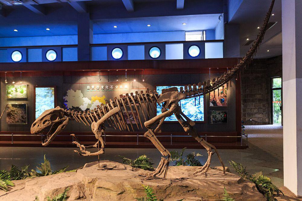 5 Fungsi dan Kegunaan Tangan Dinosaurus, Bukan Cuma Hiasan Semata