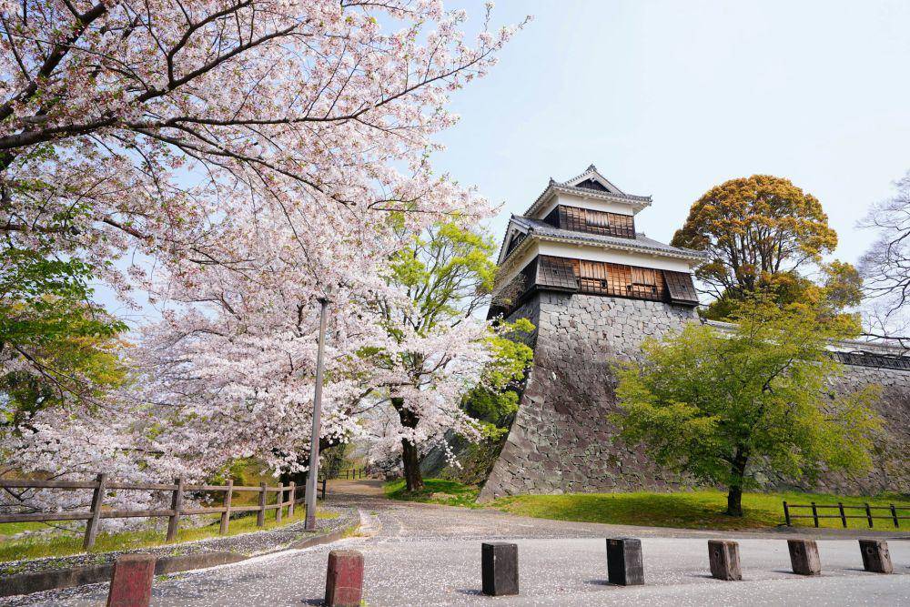 Kumamoto Castle, Jepang (unsplash.com/jcs_chen)