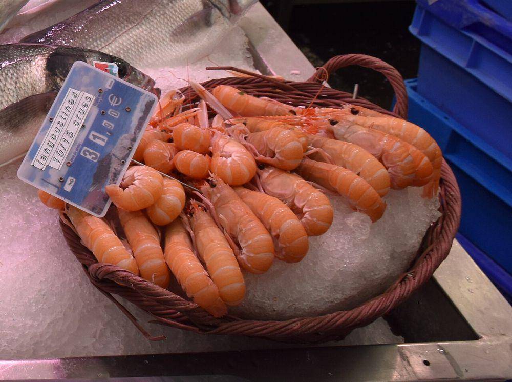 Lobster norwegia (commons.wikimedia.org/Renhour48)