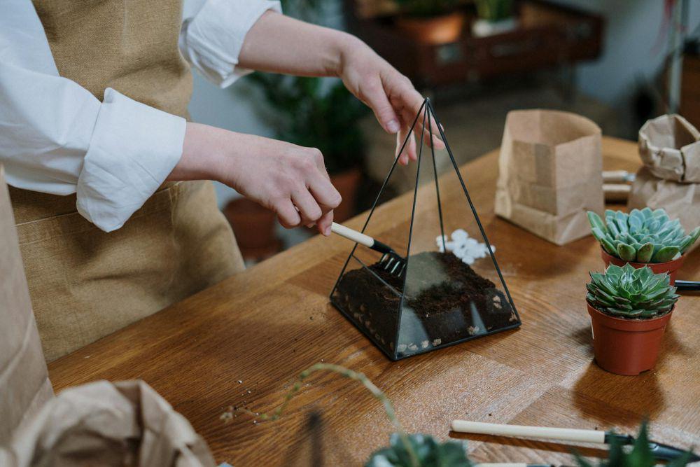 5 Tips Mudah Merawat Terarium untuk Pemula, Anti Ribet!