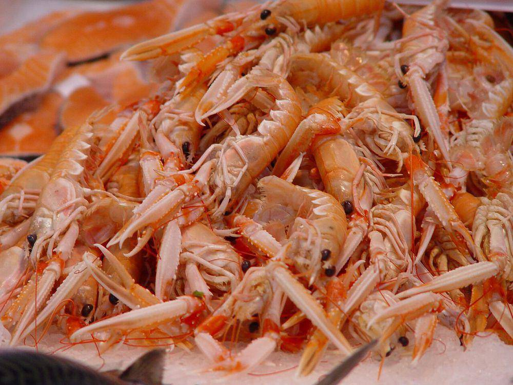 Lobster norwegia (commons.wikimedia.org/Melimama)