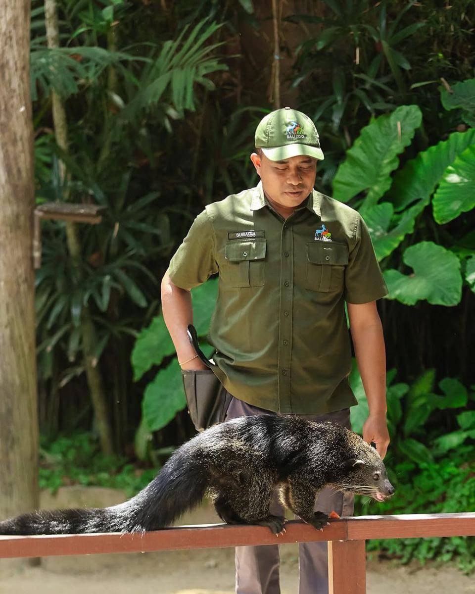 Bali Zoo (instagram.com/balizoo)