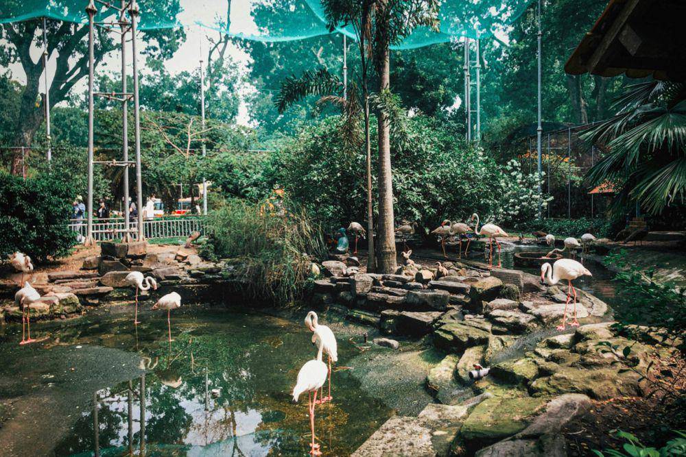 ilustrasi liburan ke taman konservasi (unsplash.com/Thuy)