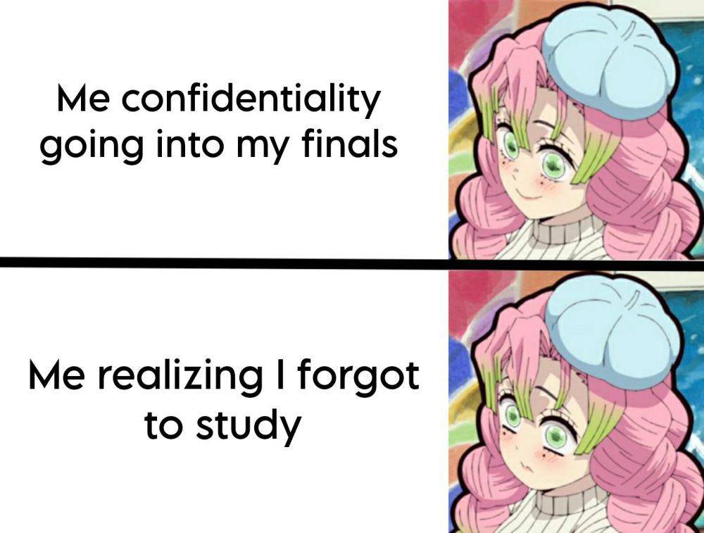 meme Mitsuri Kanroji (reddit.com/user/GeneratedSmasher)
