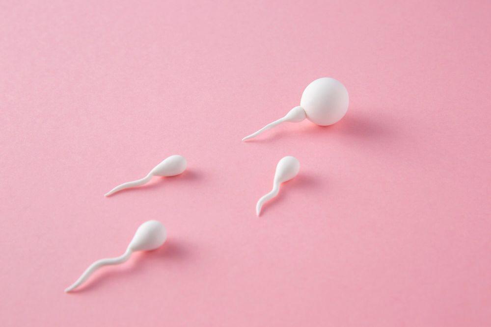ilustrasi sperma (freepik.com/freepik)