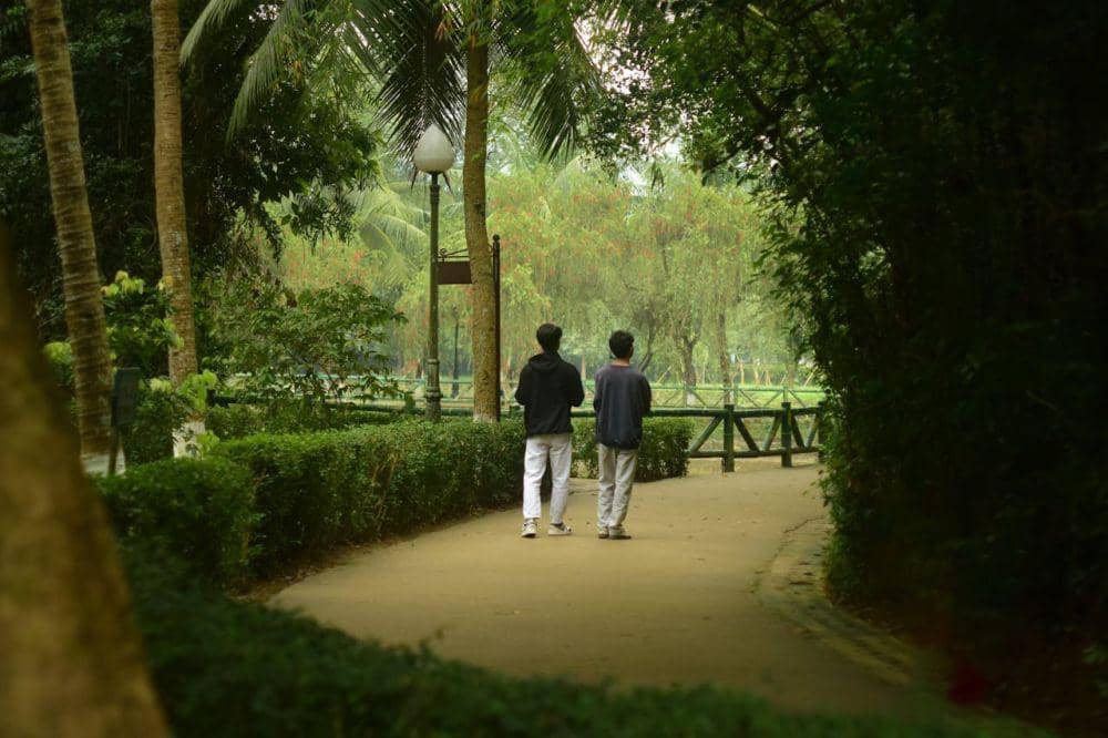 ilustrasi jalan di taman (pexels.com/Dongdilac)