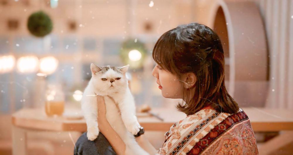 4 Kafe Populer Bekasi yang Pet Friendly, Anabul Ikut Happy Nongkrong