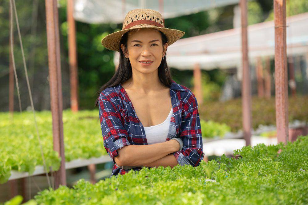 ilustrasi petani perempuan atau perempuan tani membudidayakan pertanian hidroponik (freepik.com/jcomp)