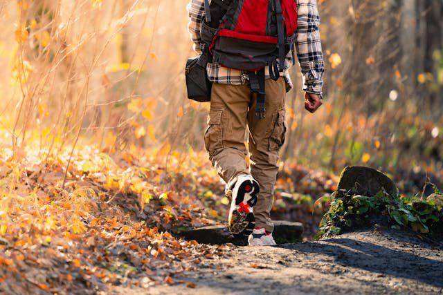 ilustrasi workwear style pria (pexels.com/Jay Randhawa)