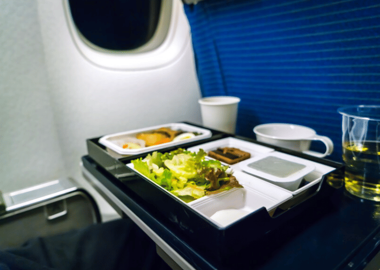 ilustrasi makanan dalam pesawat (freepik.com/jannoon028)