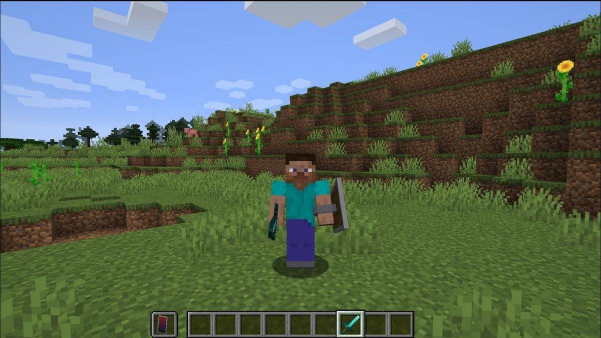 Steve minecraft 02.jpg