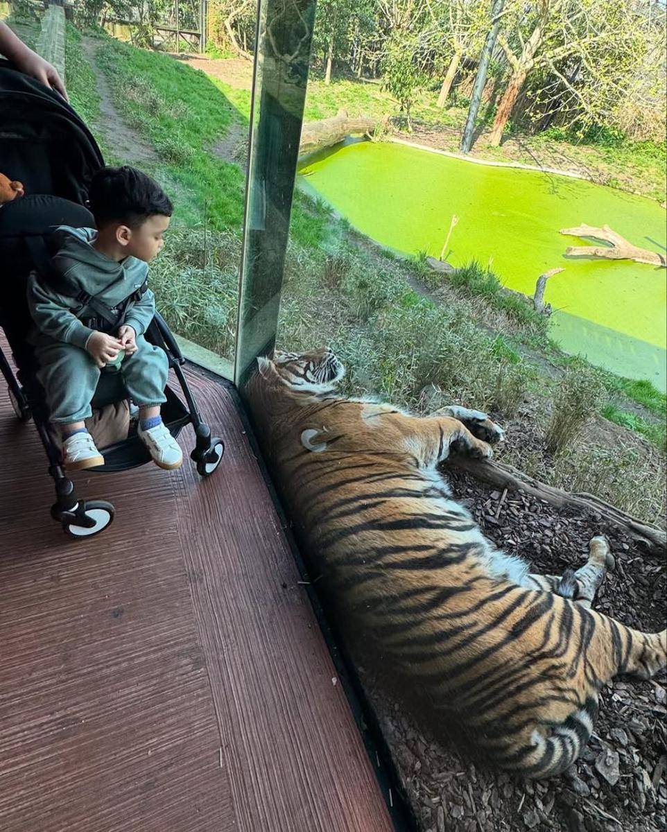 potret anak Gilang Dirga (instagram.com/adieztyfersa)