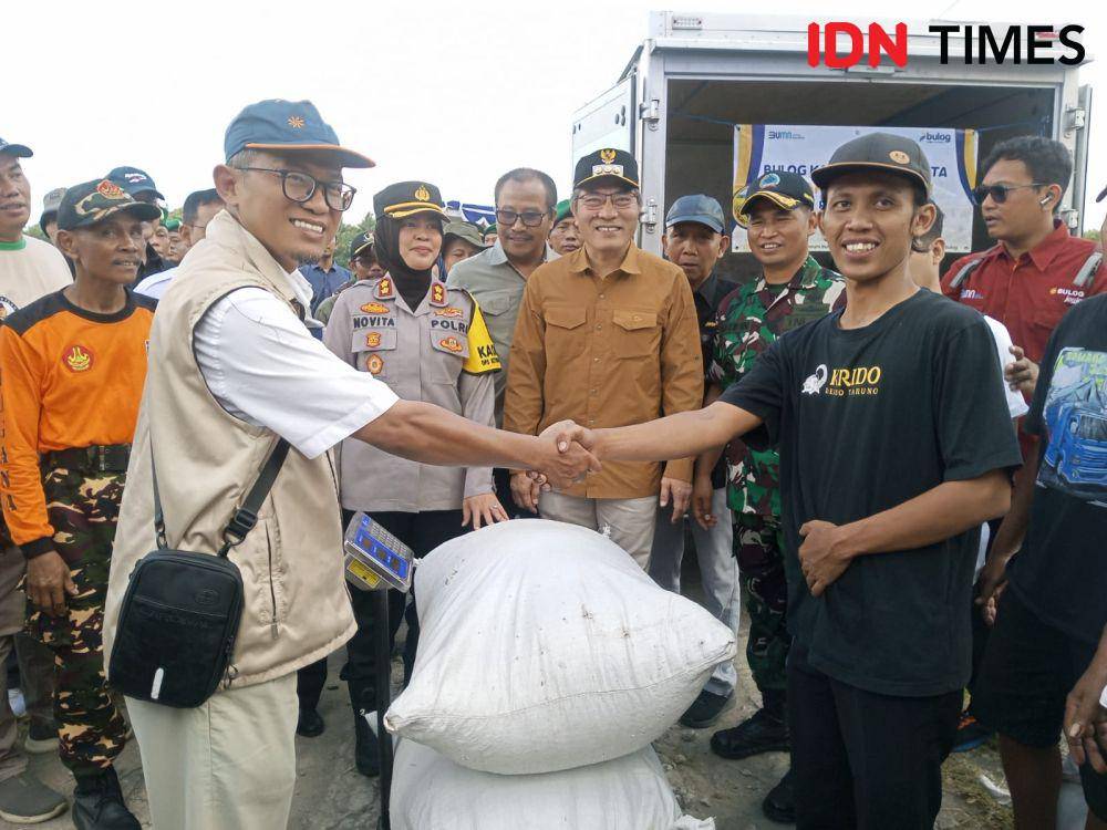 Bulog DIY membeli gabah kering panen dari petani di Bantul.(IDN Times/Daruwaskita)