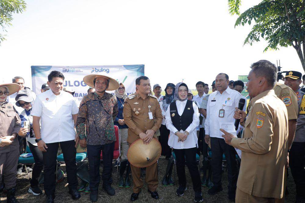 Ketua DPRD Jateng Sumanto, Gubernur Jateng Ahmad Luthfi dan Bupati Sukoharjo Etik Suryani beserta jajaran saat panen raya di Polokarto. (IDN Times/Dok Humas Pemprov Jateng)