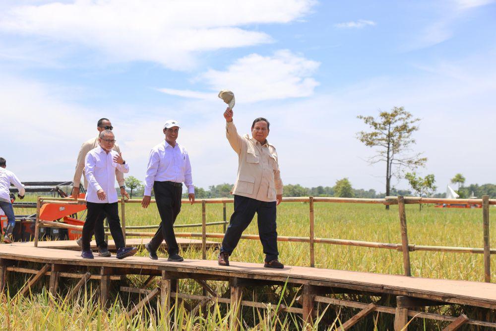 Petani Majalengka Keluhkan Tikus, Presiden Siap Sebar Burung Hantu