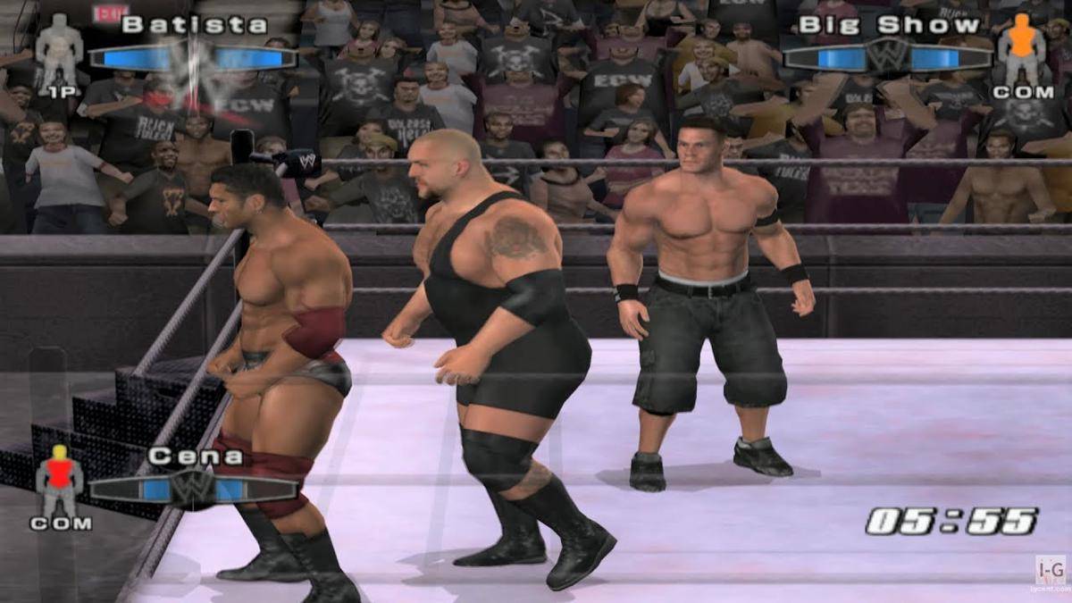 Smackdown VS Raw 2006