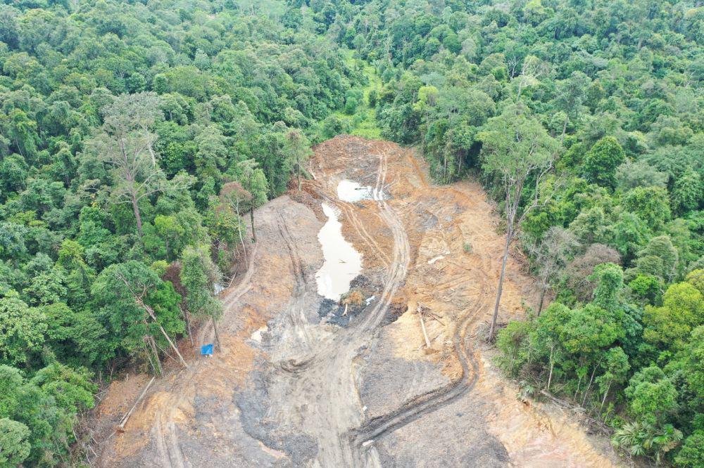 Dua Terduga Pelaku Perambahan Hutan Pendidikan Unmul Teridentifikasi