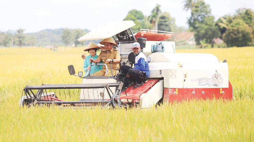 Produksi Padi 3 Terbesar di Sumsel, Petani OKI Panen Bareng Presiden