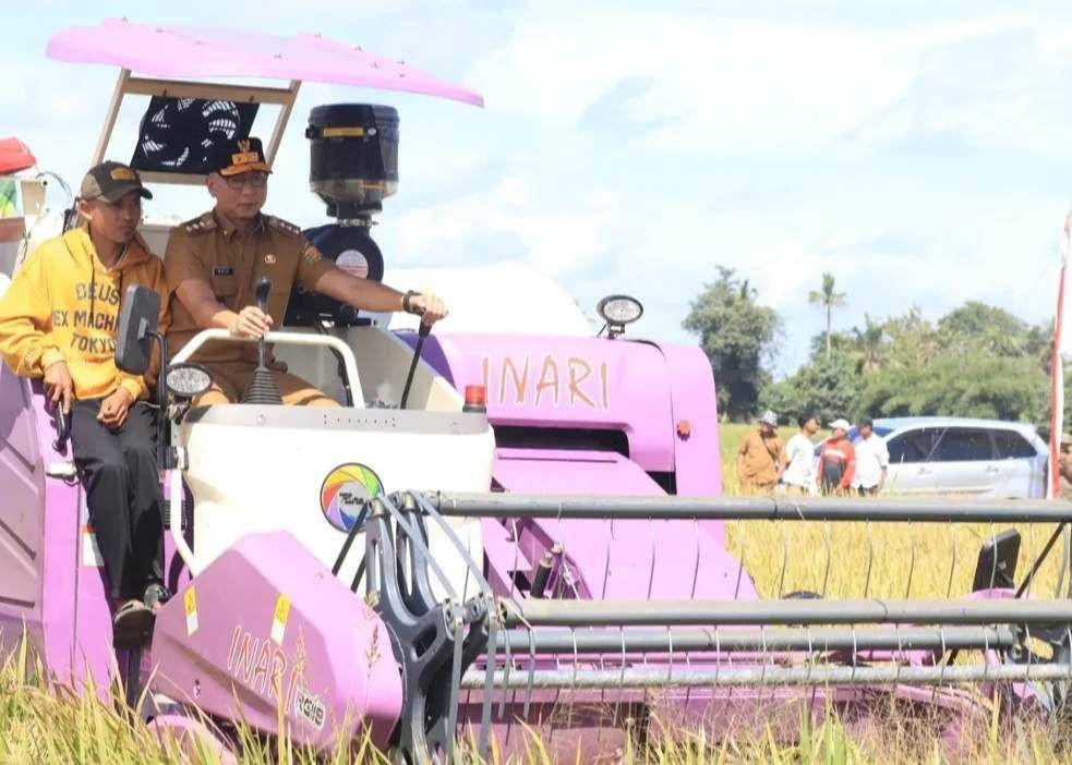 Proyeksi Produksi Padi 2025 di Provinsi Lampung Ditarget 3,5 Juta Ton