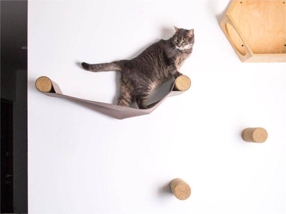 Ilustrasi playground kucing (Instagram.com/buda_pets_shop)