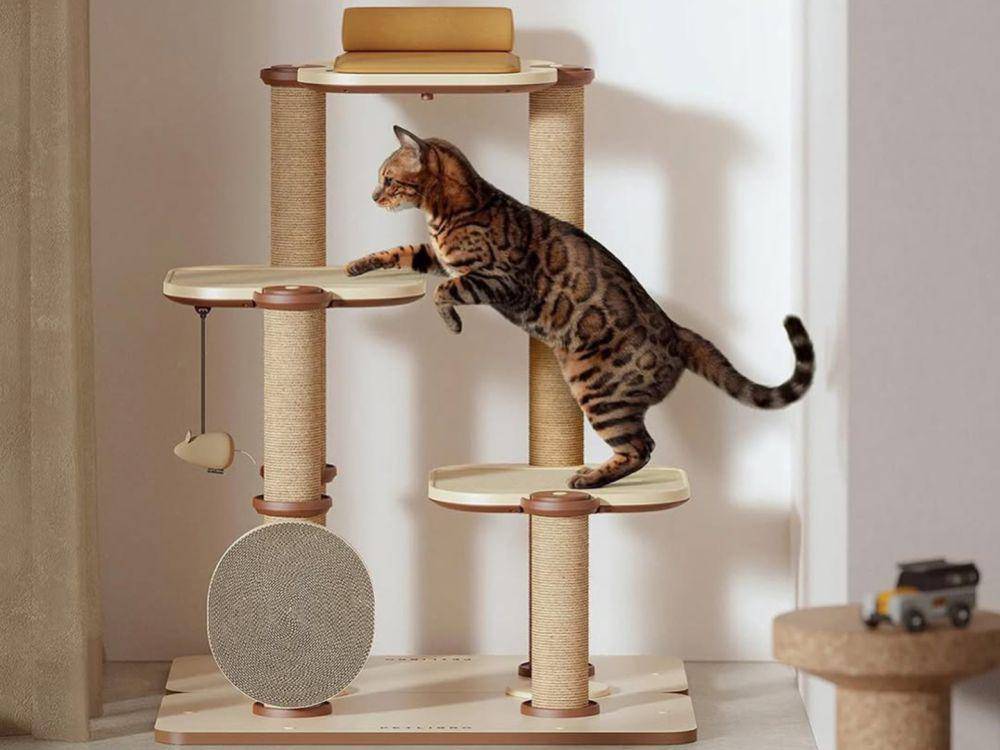 Ilustrasi playground kucing (Instagram.com/designmilkpets)