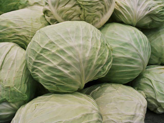 Beberapa kepala sayur kol segar berwarna hijau muda tersusun rapat, menampilkan tekstur daun yang berlapis dan renyah.