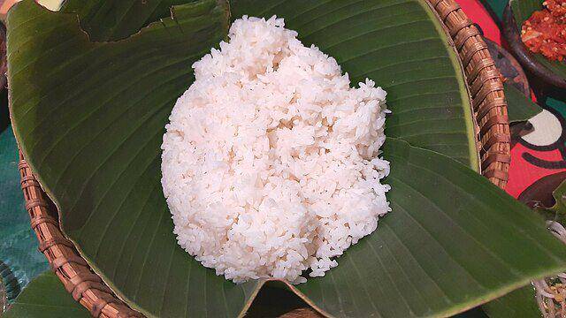 ilustrasi nasi (commons.wikimedia.org/Bajinra)