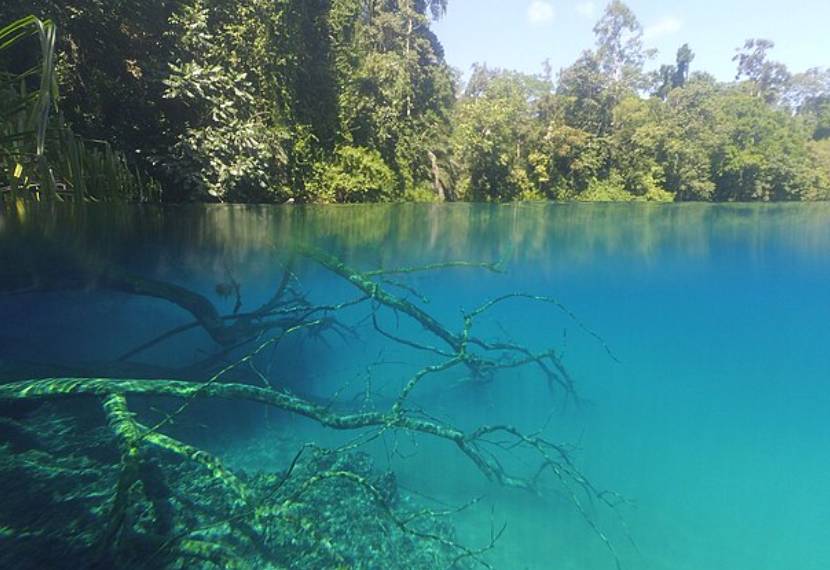 ilustrasi Danau Labuan Cermin (commons.wikimedia.org/Rizki Primanto)
