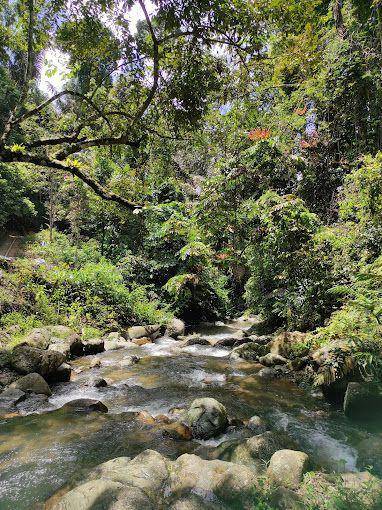 Curug Lestari Kota Batu Lampung Tengah (Instagram/curuglestarikotabatu)