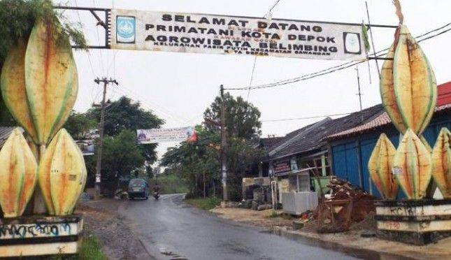 Agrowisata Belimbing Dewa di Depok (https://www.agronet.co.id/)
