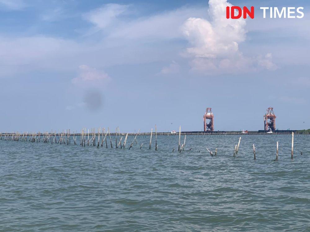 Kasus Pagar Laut PIK 2 Dinilai Sudah Penuhi Unsur Pidana Korupsi