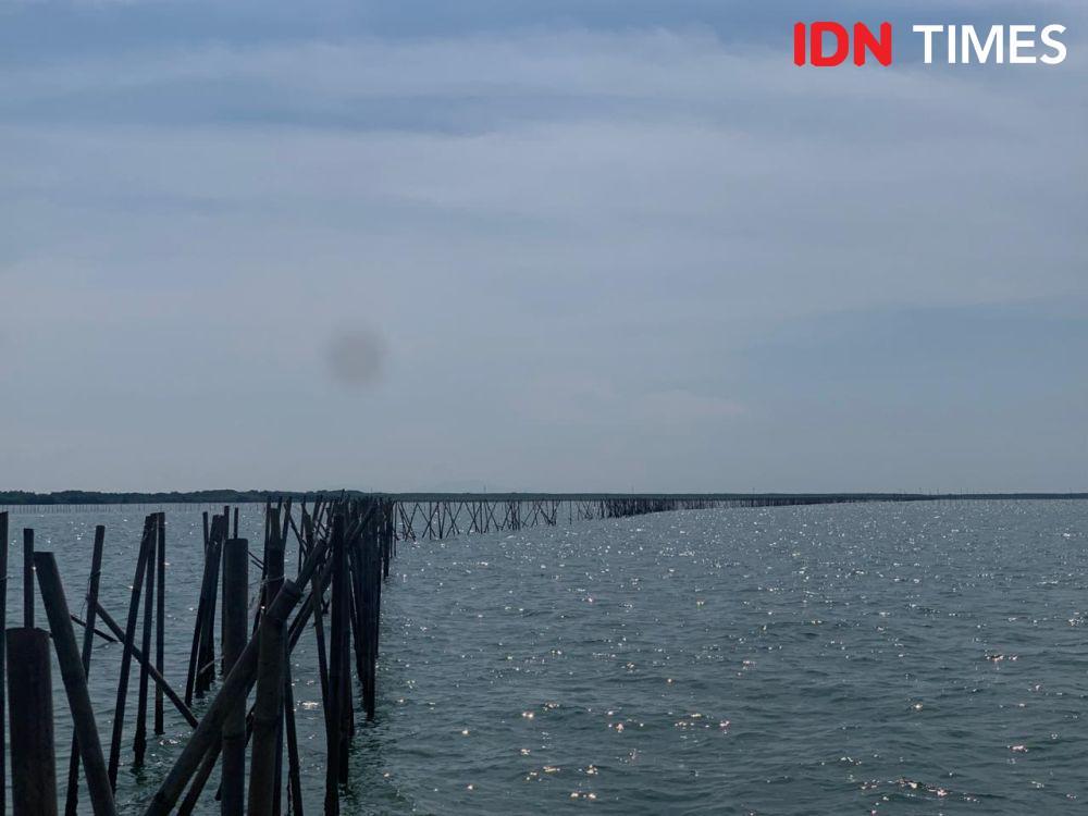 LBH: Oknum Bapenda dan BPN Tangerang Diduga Terlibat Kasus Pagar Laut