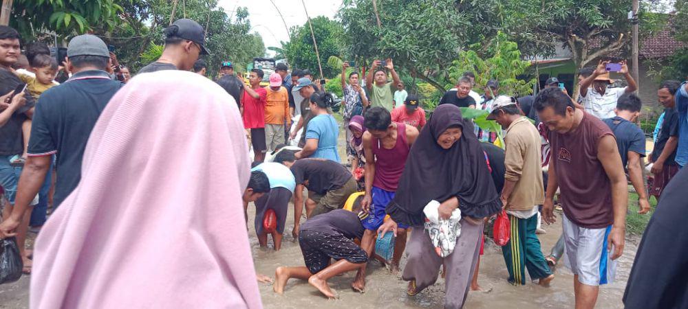 Aksi Warga Palas Lamsel Berebut Ikan Lele di Jalan Rusak