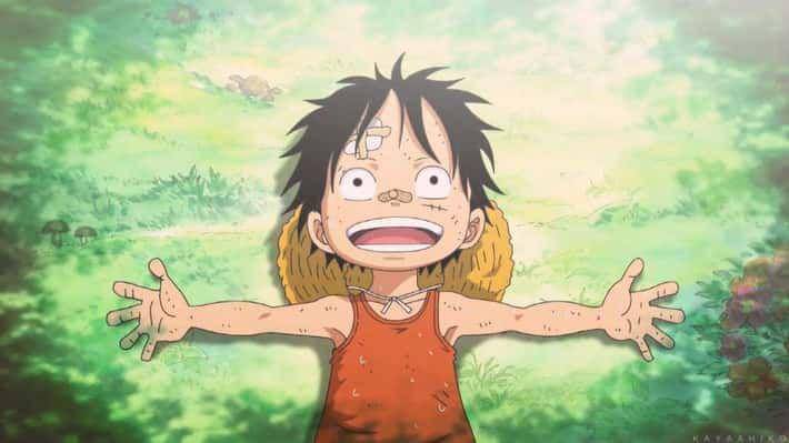 Luffy kecil (dok. Toei Animation/One Piece)