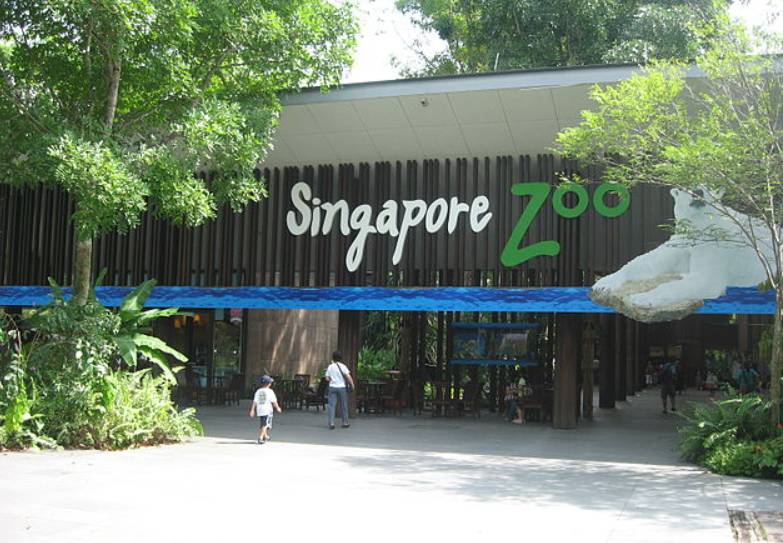 Singapore Zoo (commons.wikimedia.org/Terence)