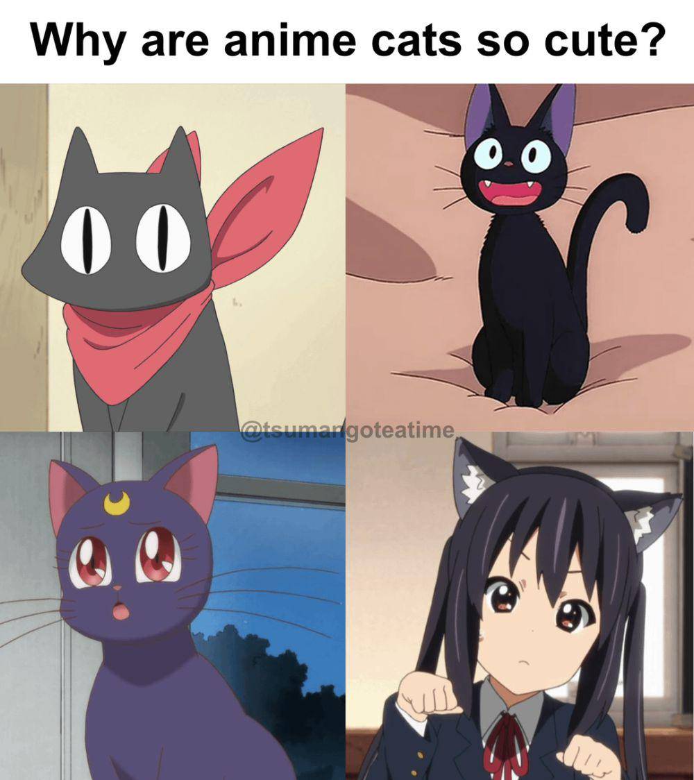 meme Azusa K-ON! (reddit.com/r/Animemes)