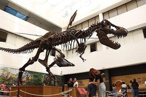 Dinosaurus Trex - commons.wikimedia.org/EhecatlCabrera