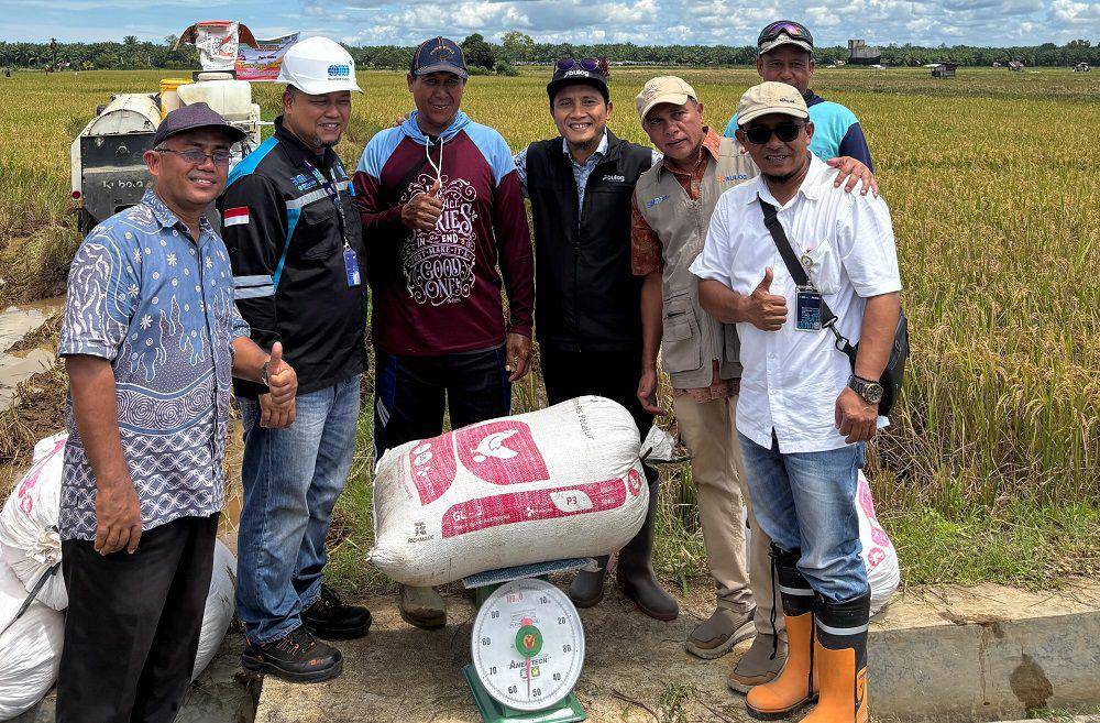 Bulog Sumbar melakukan pembelian gabah petani di Pasaman Barat (Foto: Bulog Sumbar)