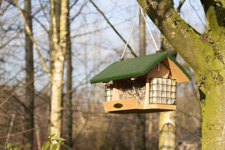 Bird feeder (freepik.com/wirestock)
