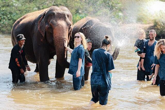 Elephant Sanctuary Chiang Mai (commons.wikimedia.org/Autodtravel)