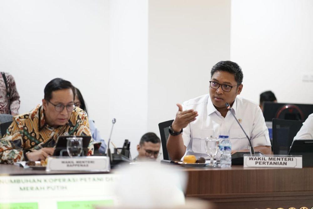 Wamentan Ungkap Maksud Penghapusan Kuota Impor: Tidak Ada Monopoli