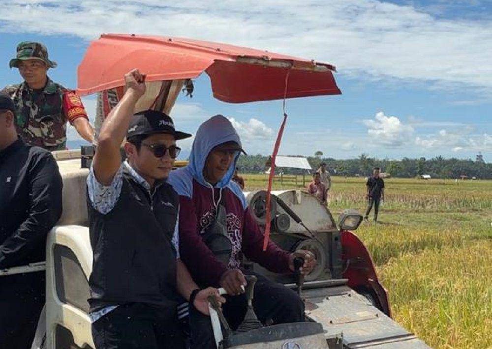 Kepala Bulog Sumbar melakukan pengecekan panen raya di Pasaman Barat (Foto: Bulog Sumbar)