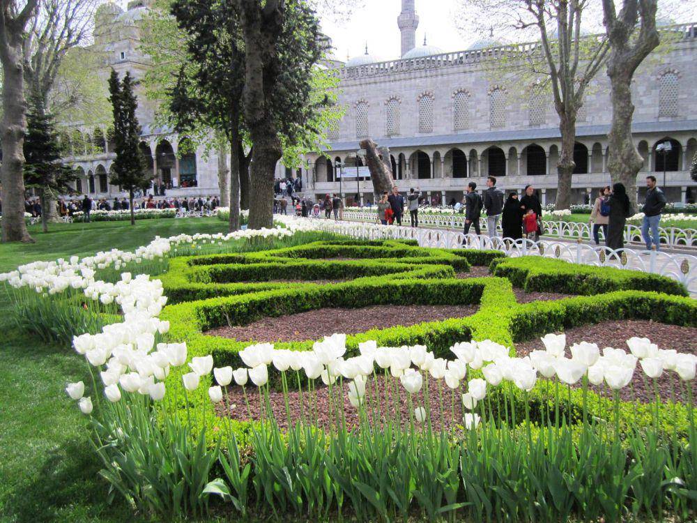 potret taman tulip di Taman Gülhane, Istanbul (dok.pribadi/Gusti Nur Iwari)