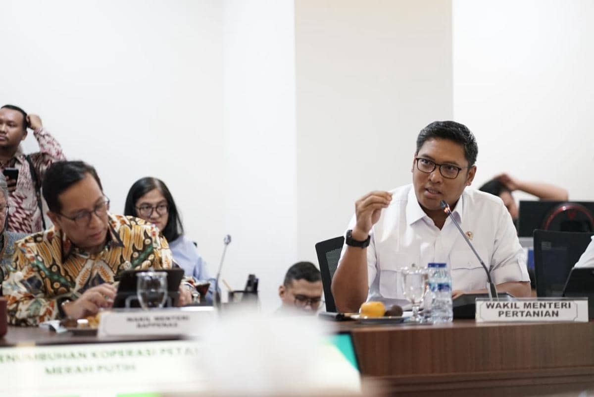 WhatsApp Image 2025-04-11 at 14.33.20.jpeg